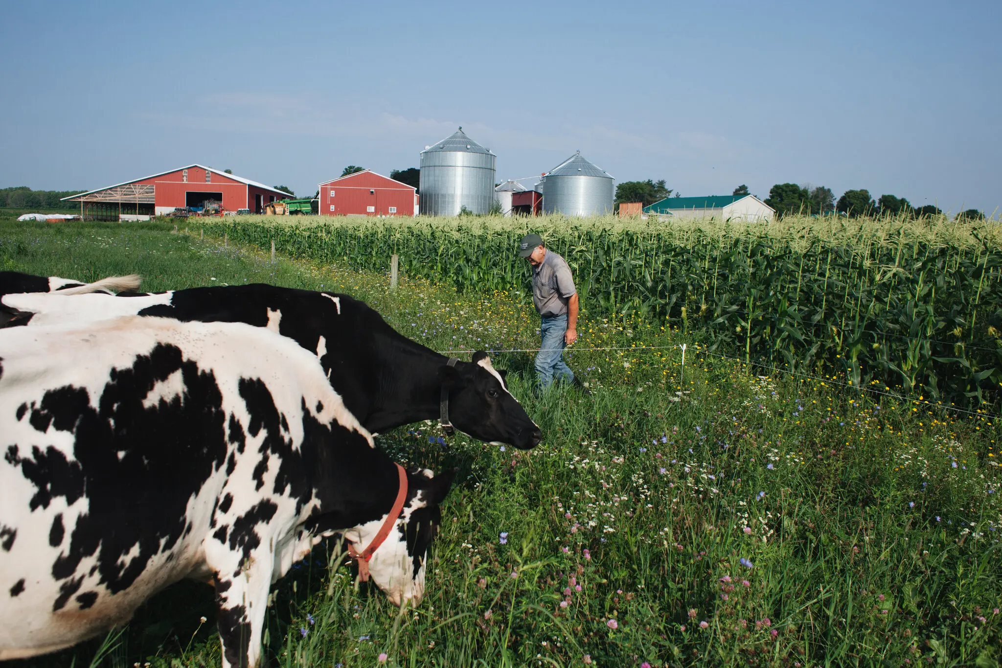 Tariffs imposed on $300 billion of Chinese imports by President Trump in 2018 started a trade war between the United States and China that affected farmers.Credit...Libby March for The New York Times