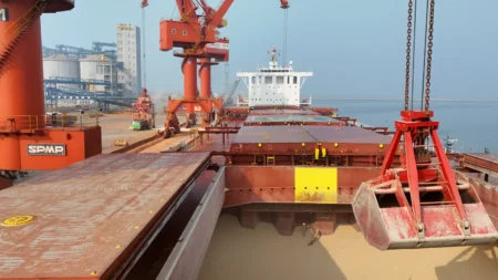 A crane unloads peas imported from Canada at the Laizhou port area of Yantai Port in Yantai, China, Feb. 28, 2025. (Nurphoto/Getty Images)