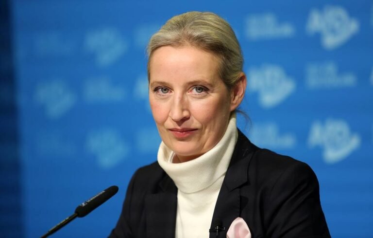 Co-chair of the Alternative for Germany (AfD) party Alice Weidel. (Maryam Majd/ Getty Images)