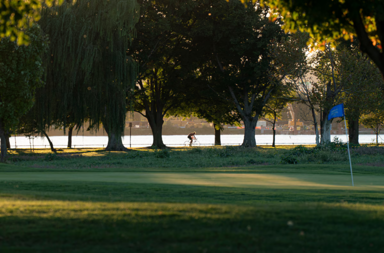 Judge halts tree removal, imposes new limits on Trump’s golf project A federal judge halted work, for now, at East Potomac Park. (Maxine Wallace/The Washington Post)